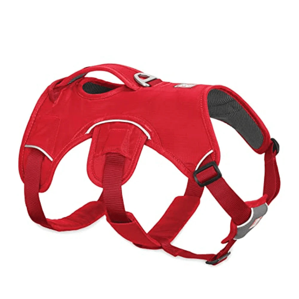 Ruffwear-Webmaster Harness for Dogs