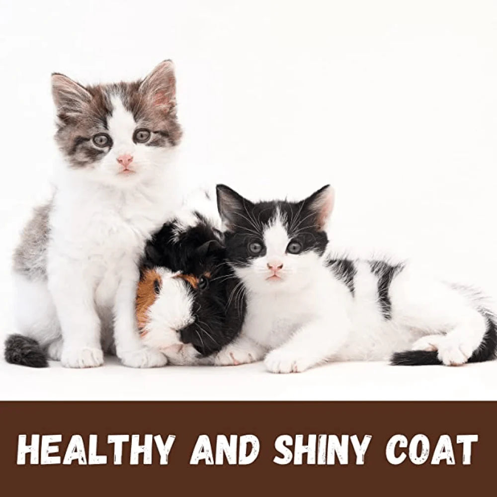 Bio-Groom Purrfect White Conditioning Shampoo for Cats