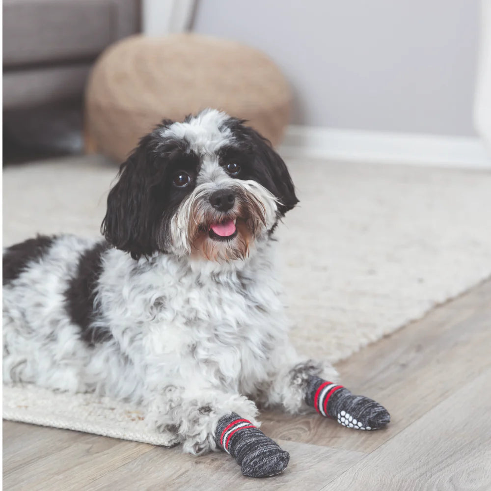 Trixie- Non Slip Socks for Dogs (Grey)