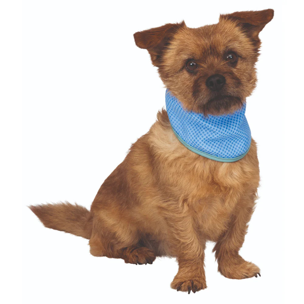 Trixie-Cooling Bandana for Dogs