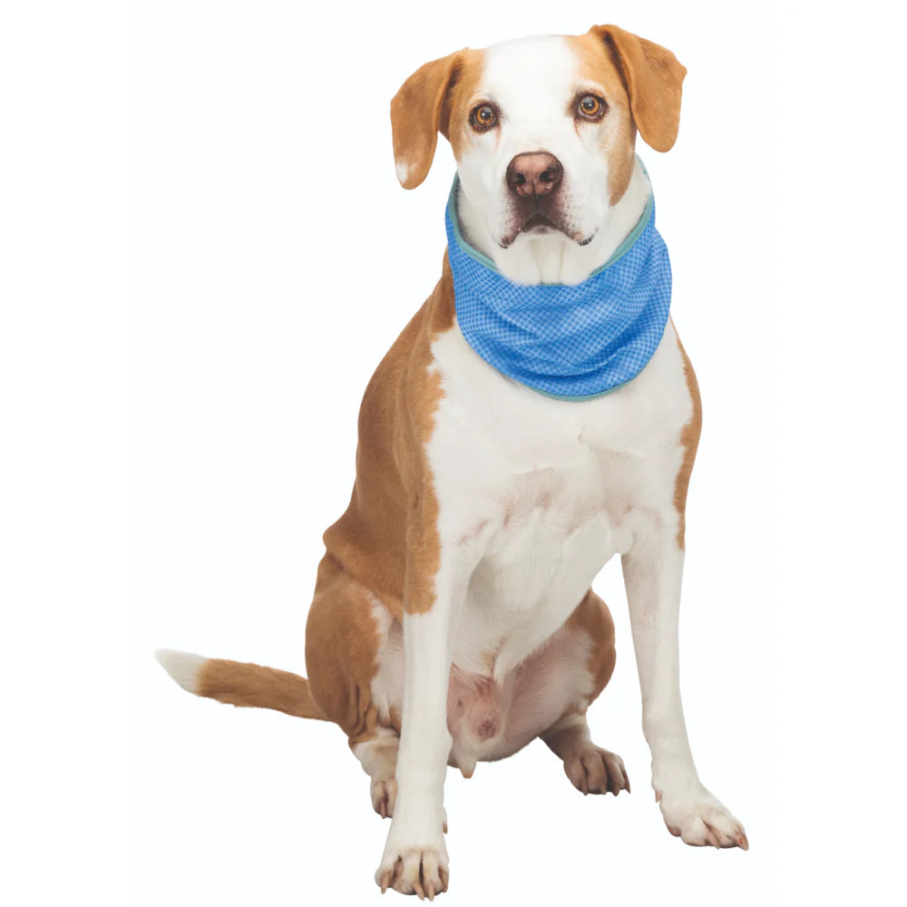 Trixie-Cooling Bandana for Dogs