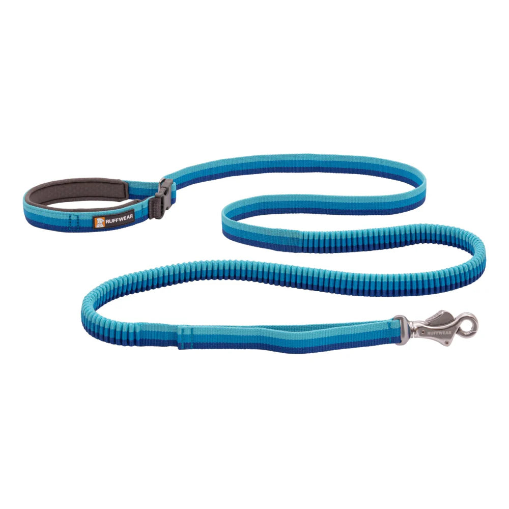 Ruffwear- Roamer Leash for Pets Purple Dusk