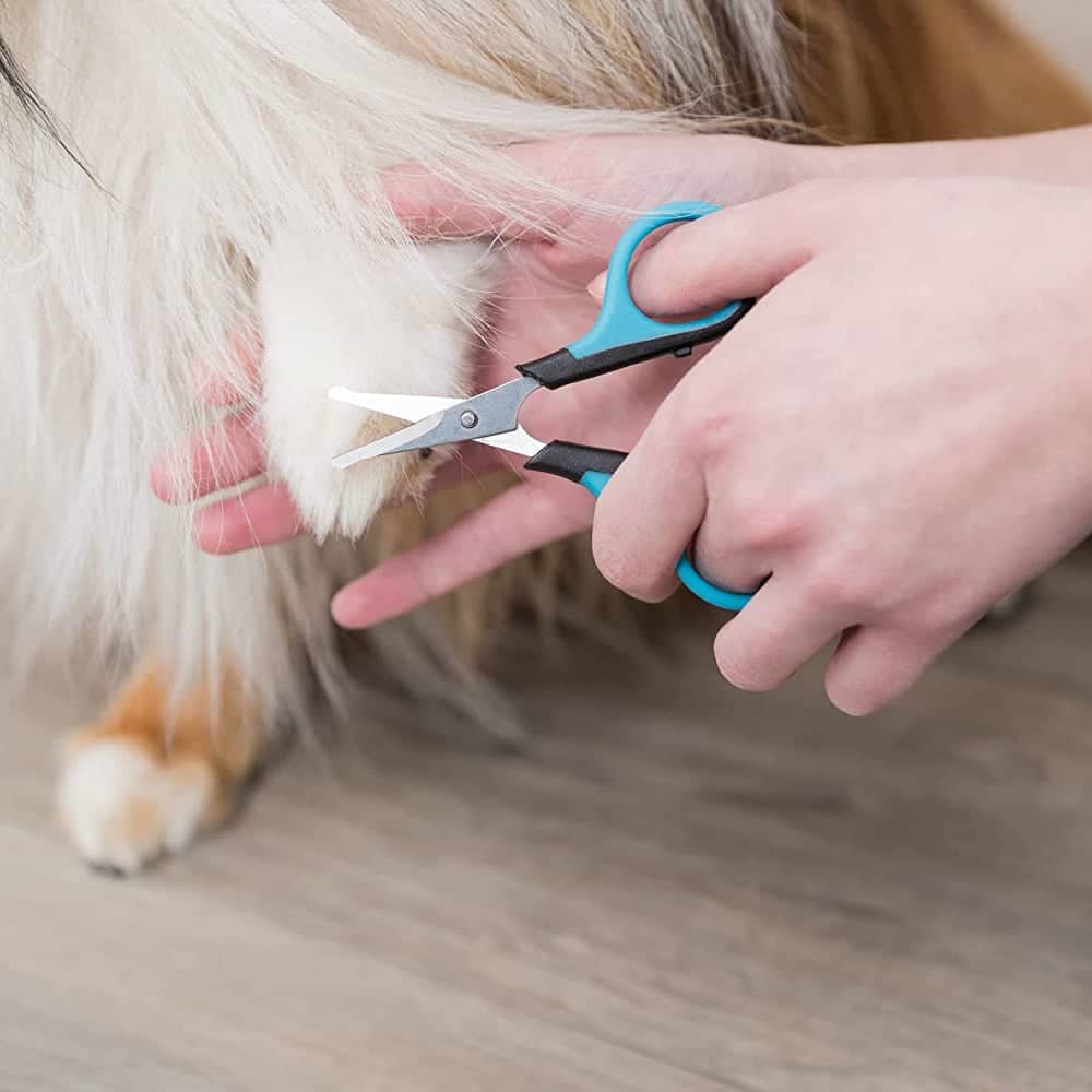 Trixie- Face & Paw Scissors for Dogs and Cats