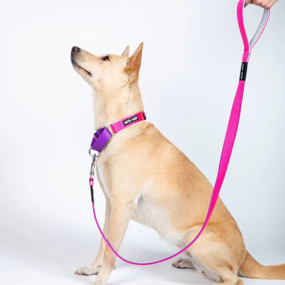 Pets Way Dual Color Leash For Dogs