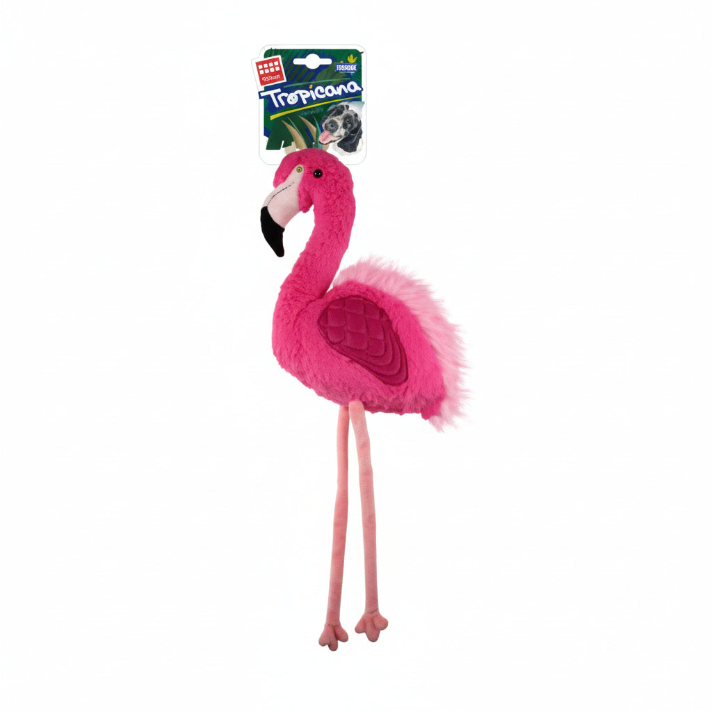GiGwi Tropicana Squeaky Dog Toy