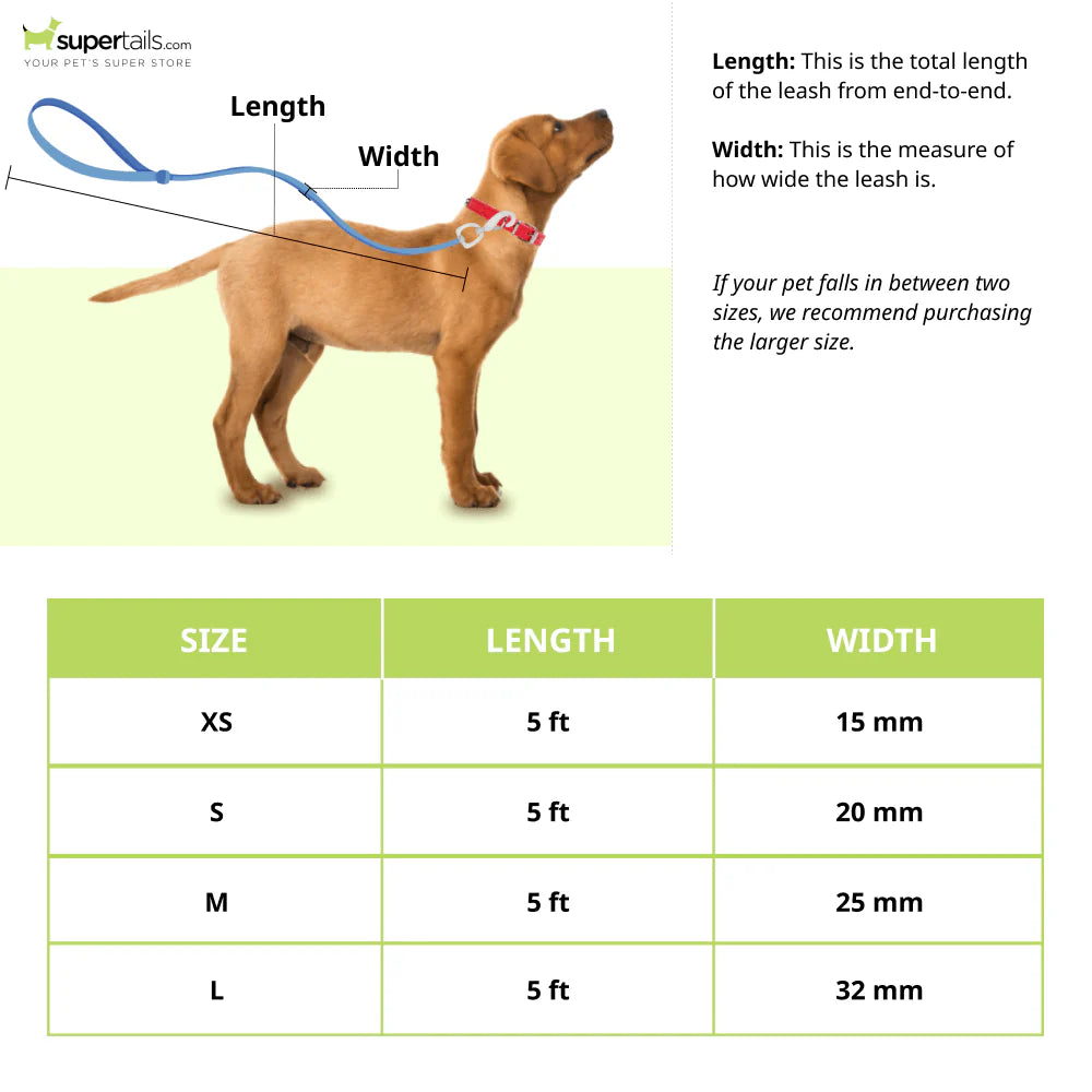 Glucklich - Dog Leash  Nylon