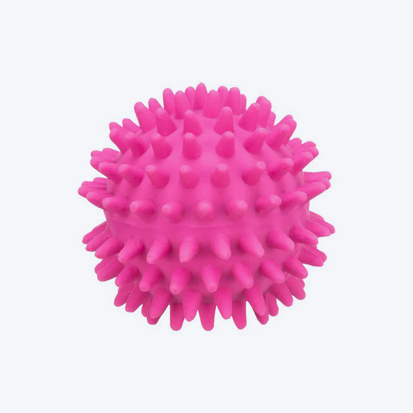 Trixie- Hedgehog Ball Latex Toy For Dogs