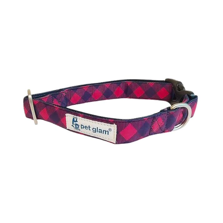 Pet Glam- Collar for Dogs