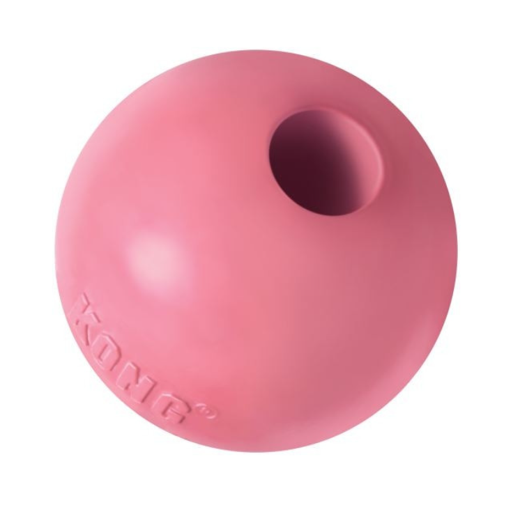 Kong Puppy Ball with Hole Dog Toy