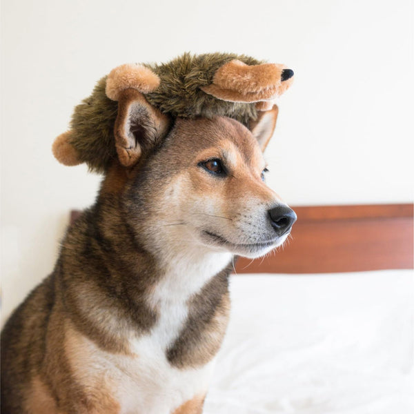 Zippy Paws Loopy Hedgehog Plush Toy for Dogs