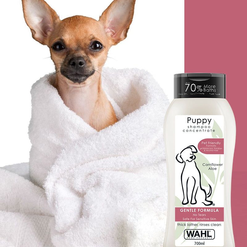 Wahl - Puppy Shampoo