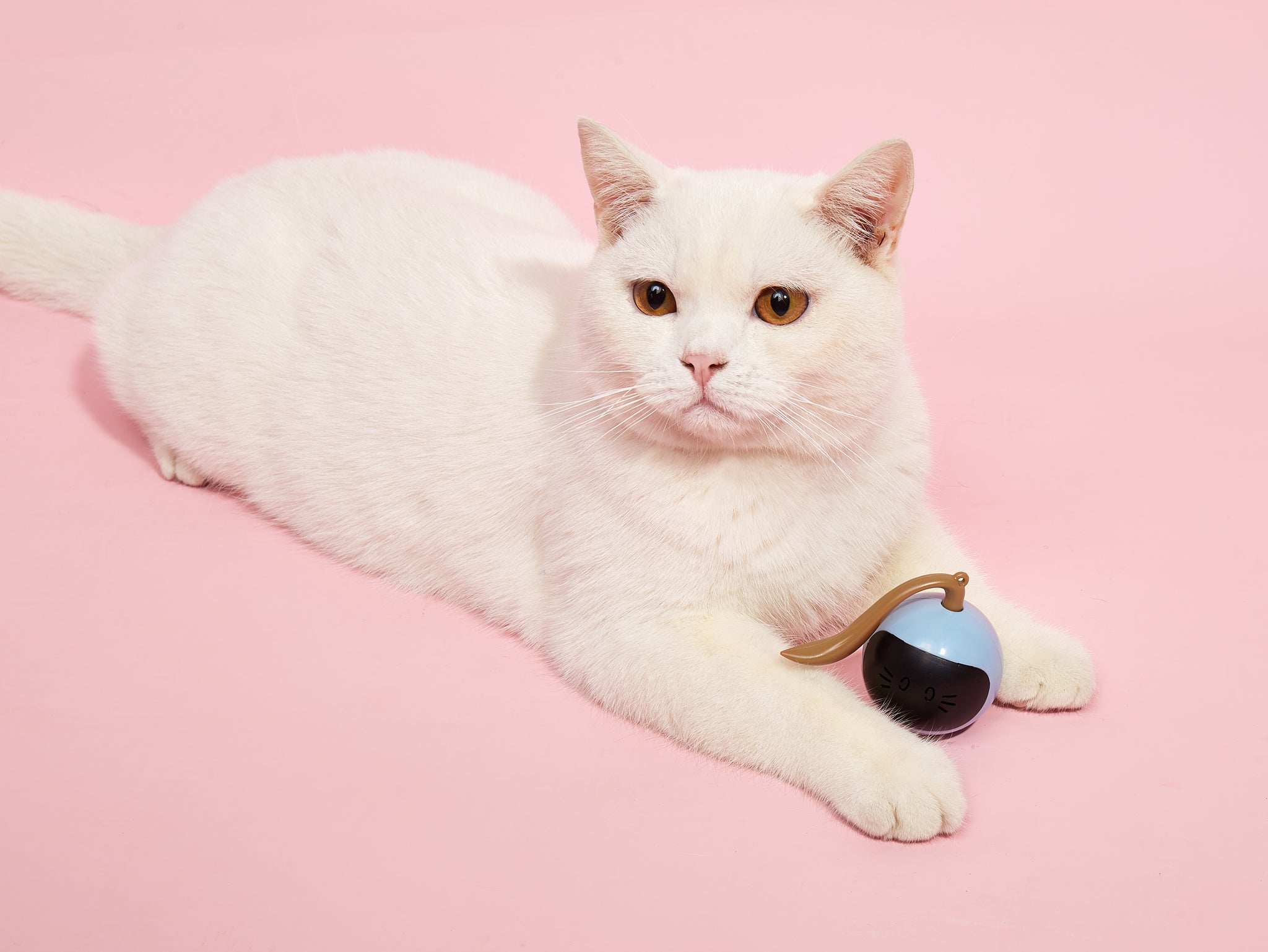 Fofos Tumbler Cat Toy