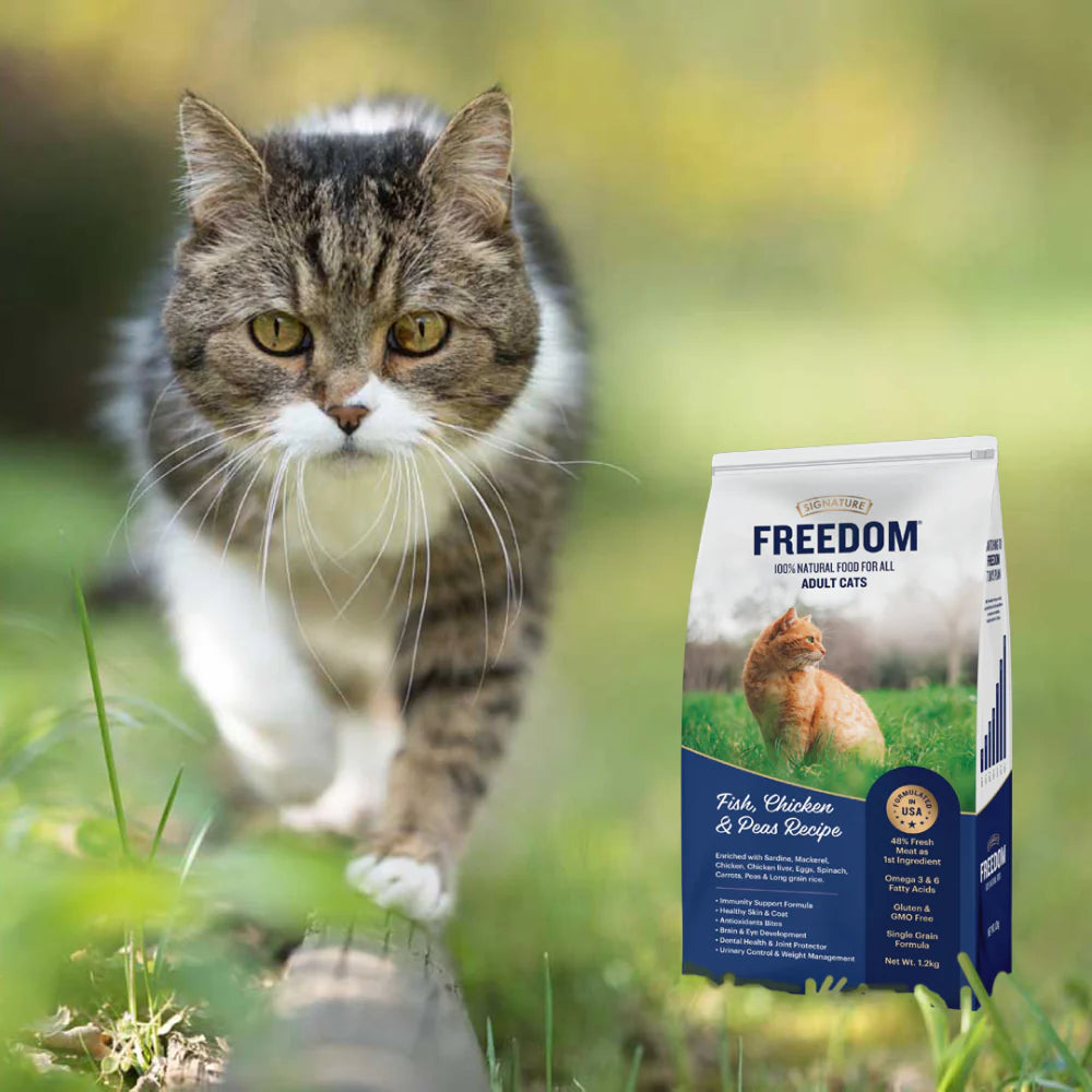 Signature - Freedom Fish Chicken & Peas Adult Cat Dry Food