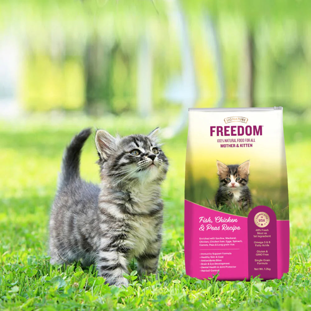 Signature - Freedom Fish Chicken & Peas Kitten Dry Food