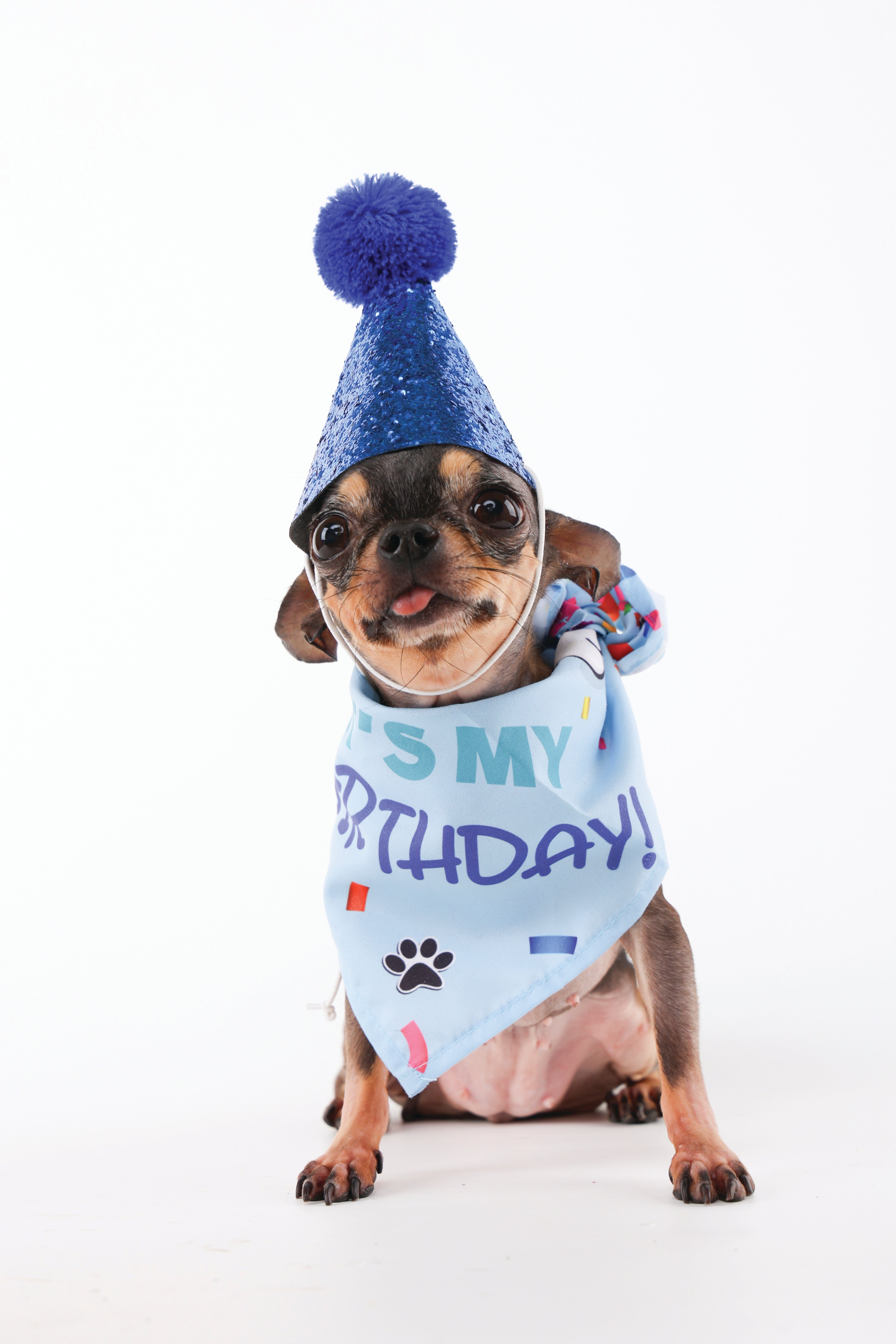 M-Pets Party Time Gentleman's Set