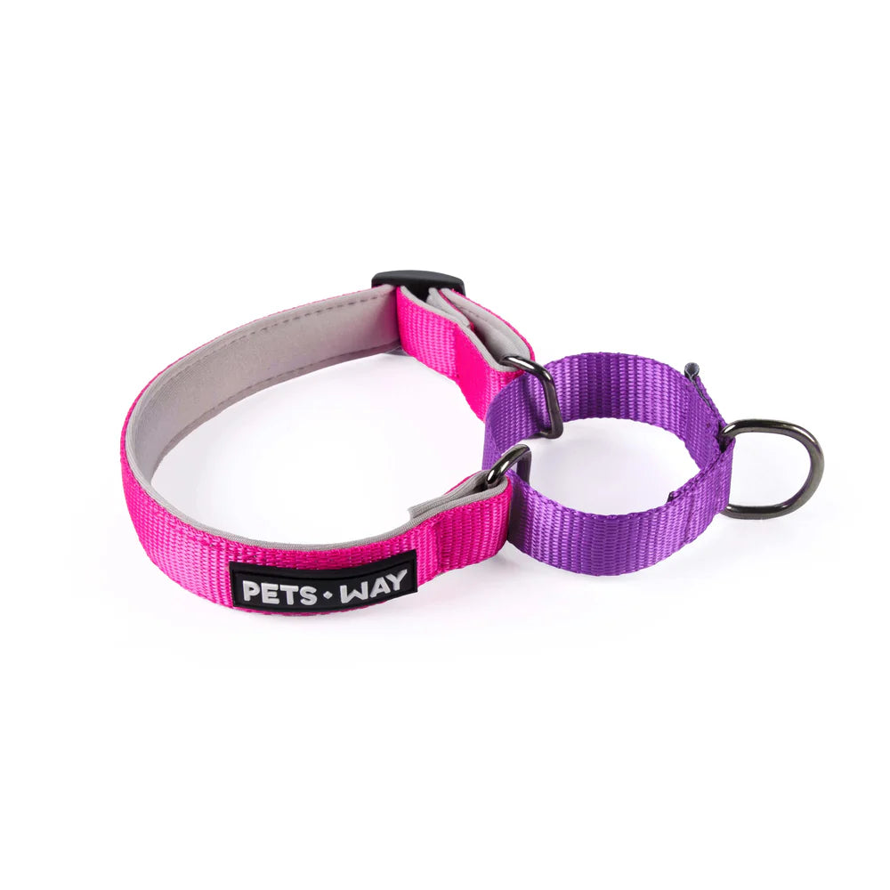 Pets Way Martingale No Choke Collar For Dogs