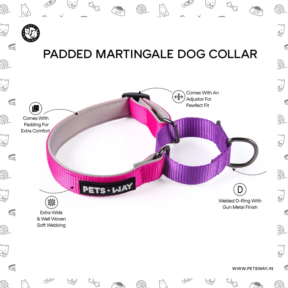 Pets Way Martingale No Choke Collar For Dogs