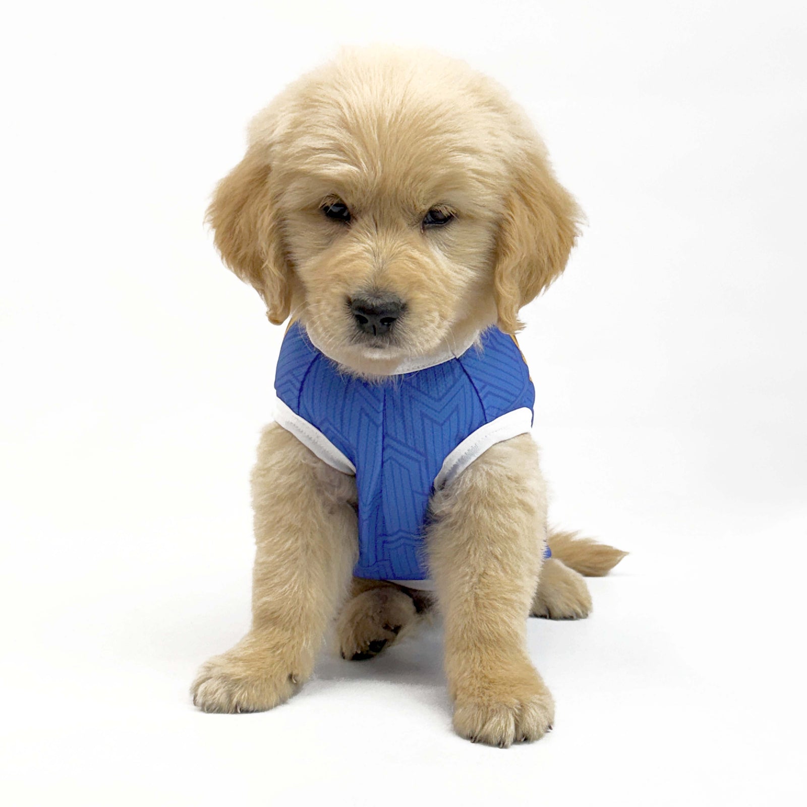 Pets Way Mumbai Indies IPL Sleeveless T-shirts for Dogs