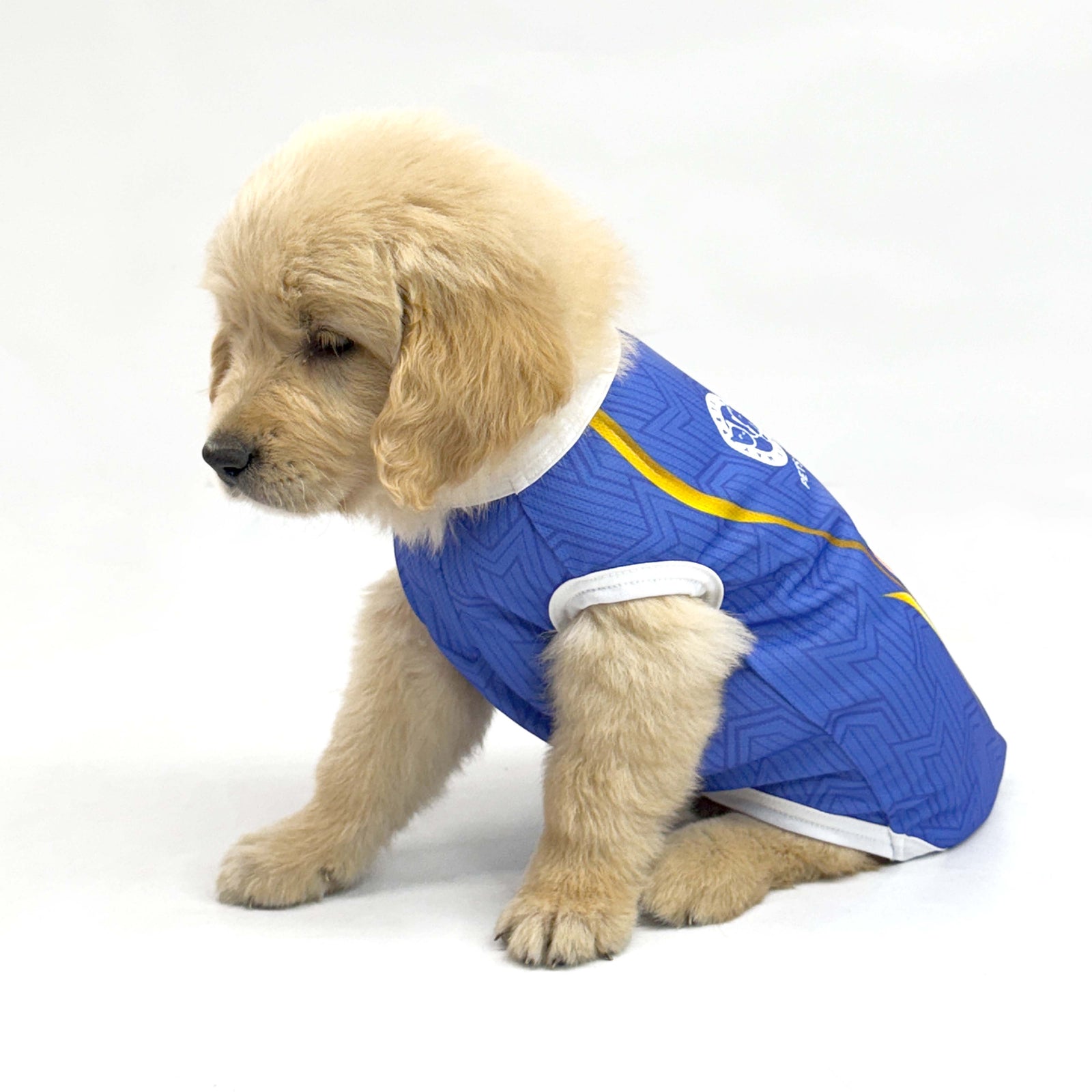 Pets Way Mumbai Indies IPL Sleeveless T-shirts for Dogs
