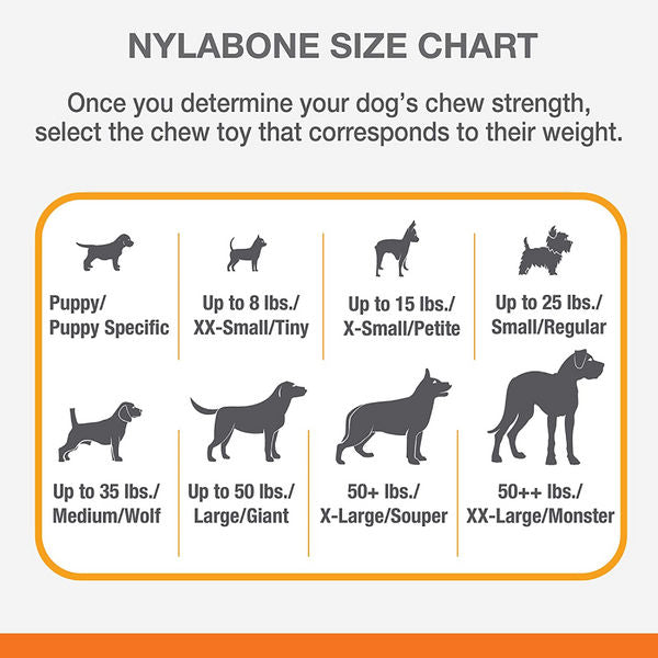 Nylabone Braided Bully Stick Power Chew Alternative Toy