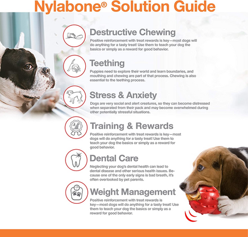 Nylabone Braided Bully Stick Power Chew Alternative Toy
