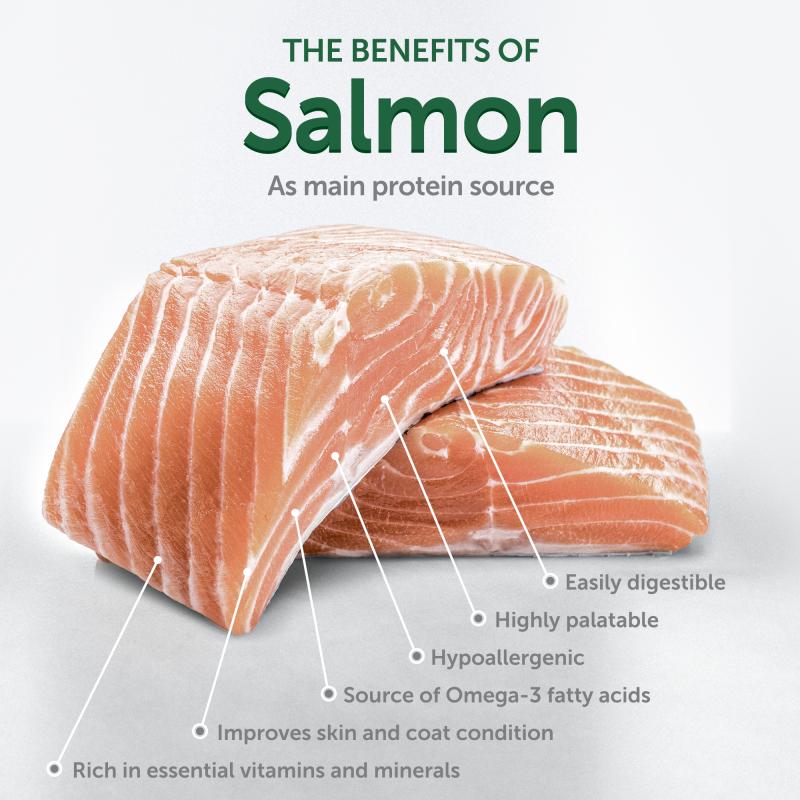 Nature's Protection Superior Care White Dogs Grain Free Salmon Starter All Breeds Dog Dry Food