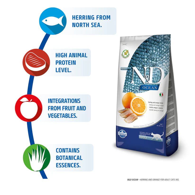 N&D - Herring & Orange Ocean Cat Adult Dry Food