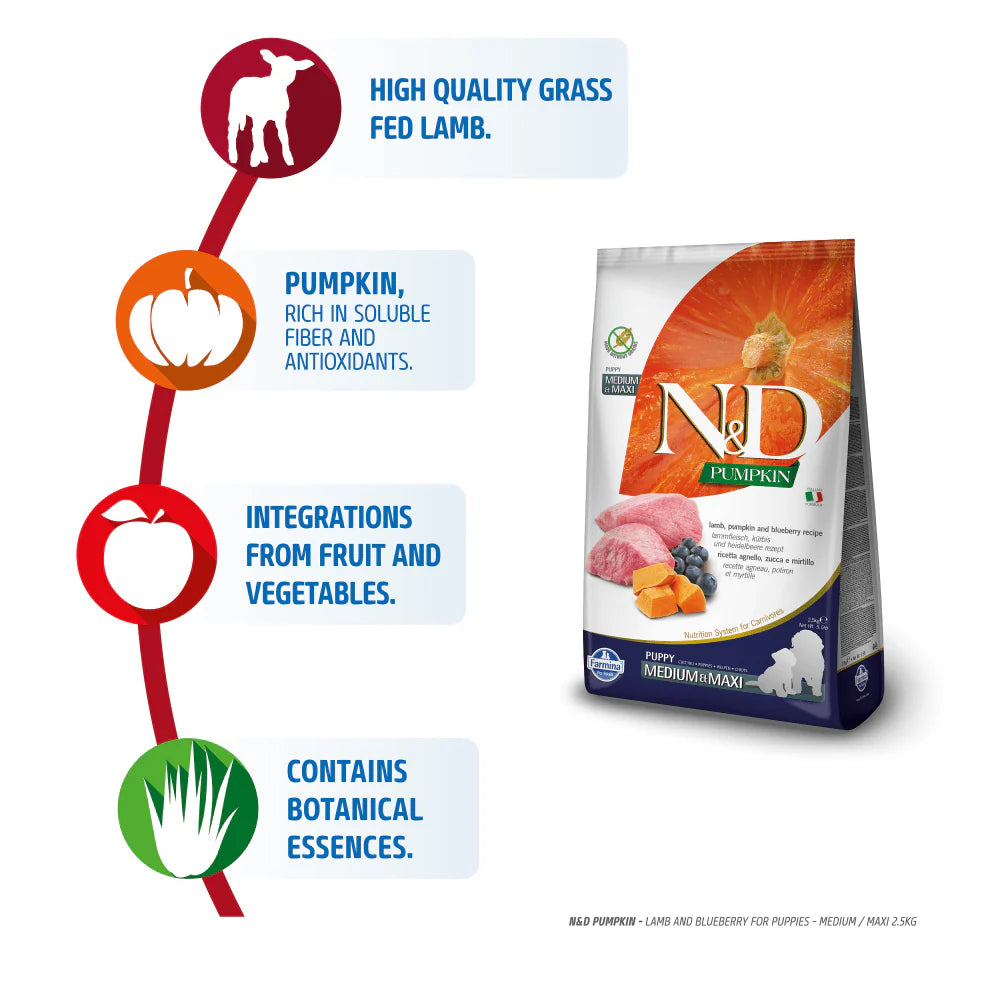 N&D - Pumpkin  Lamb Puppy Medium & Maxi Breed Dry Dog Food