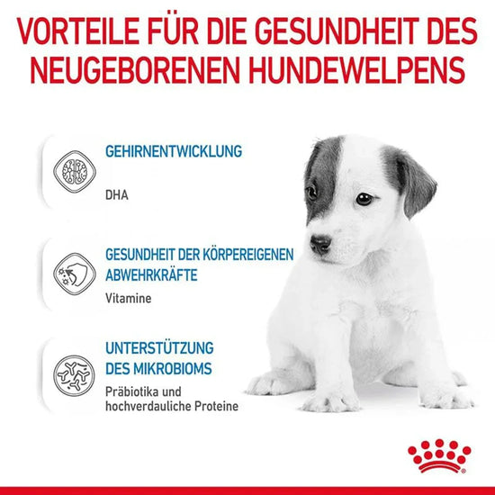 Royal Canin Puppy Milk Powder Dog Dry Food