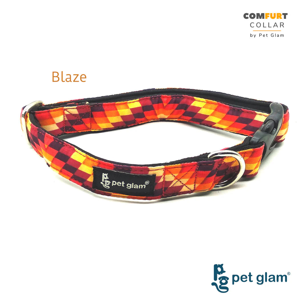 Pet Glam- Collar for Dogs