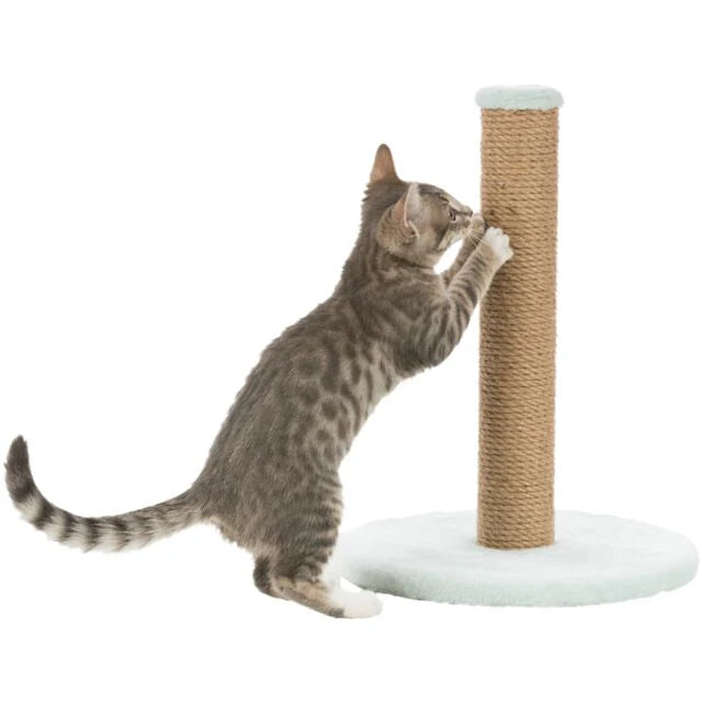 Trixie- Junior Scratching Post On Plate Toy for Cats