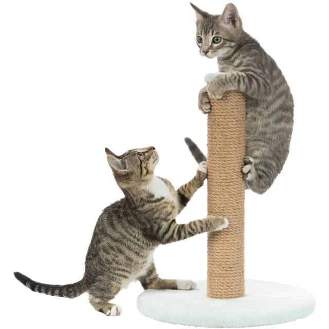 Trixie- Junior Scratching Post On Plate Toy for Cats