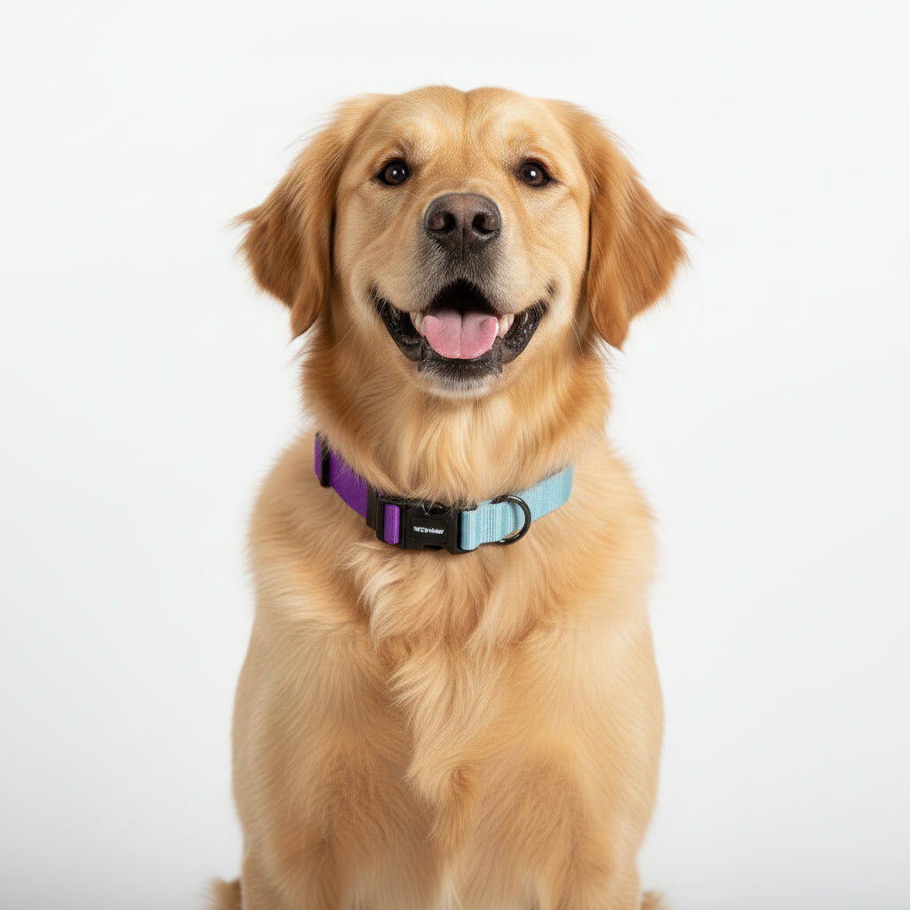 Pets Way Dual Color Collar For Dogs