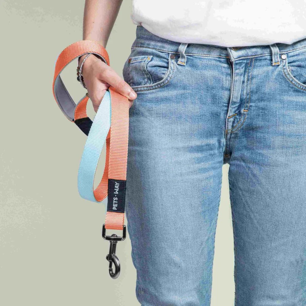 Pets Way Dual Color Leash For Dogs