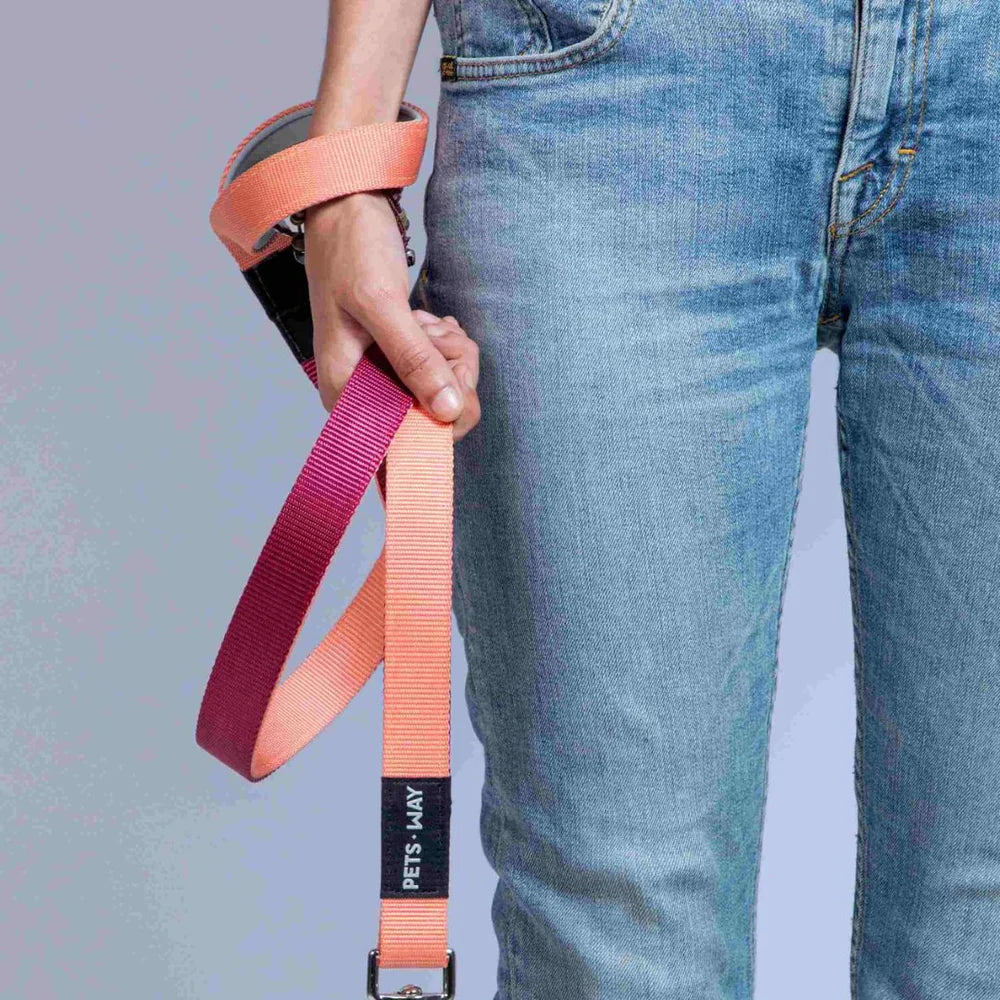 Pets Way Dual Color Leash For Dogs