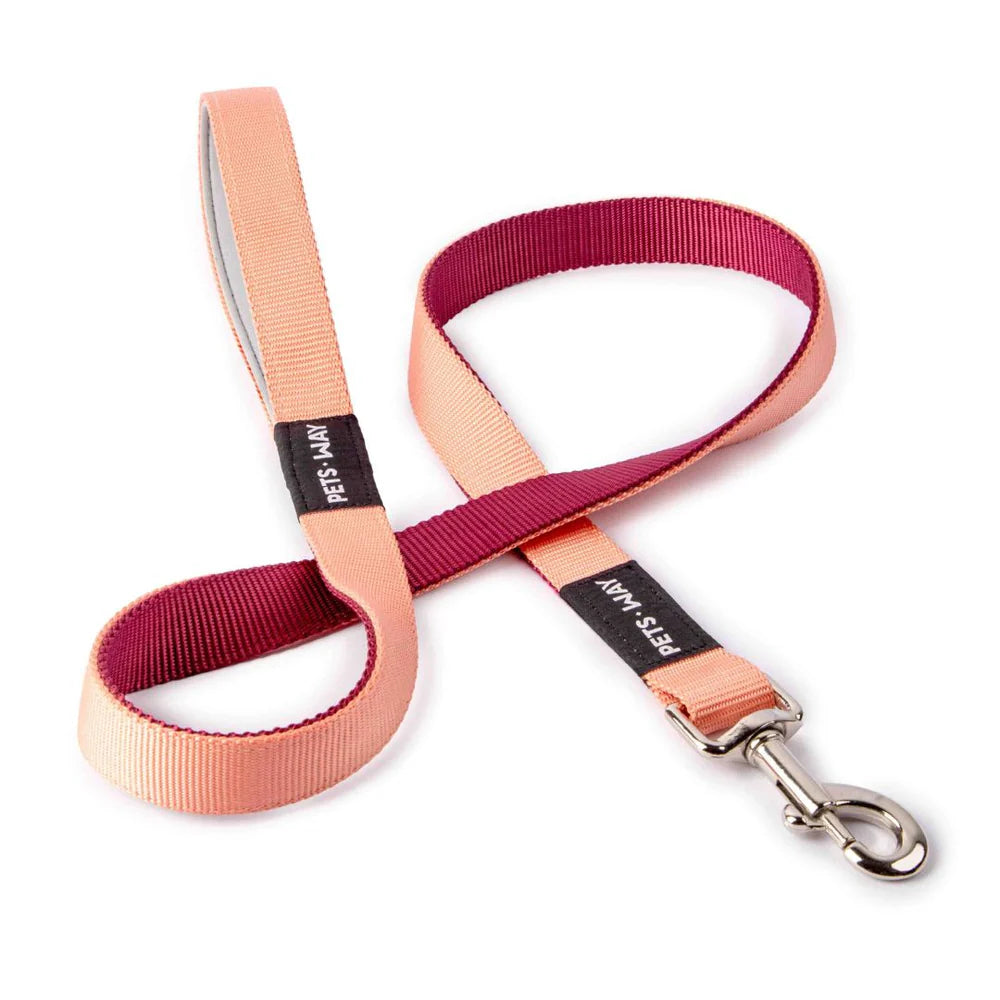 Pets Way Dual Color Leash For Dogs