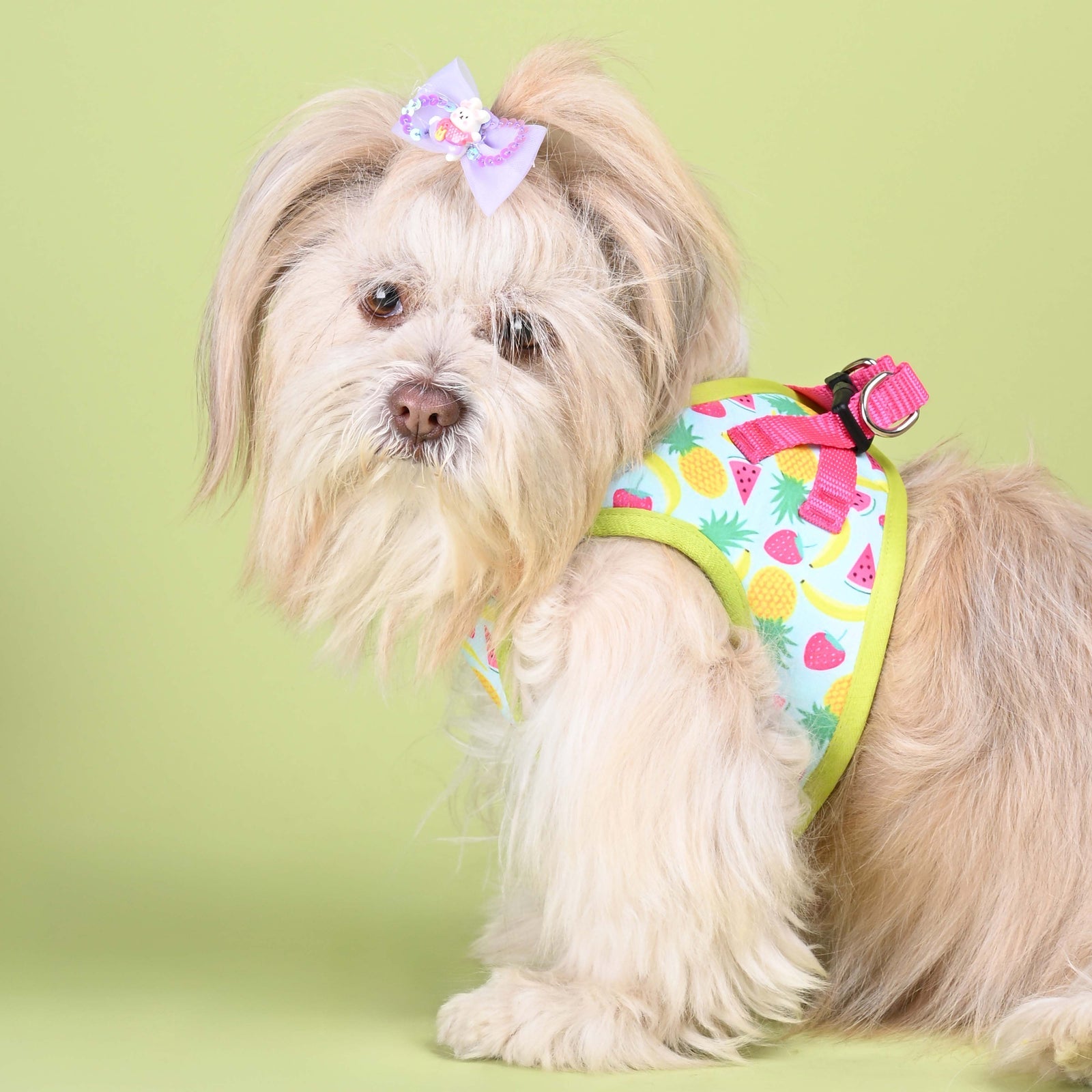 Pets Way Fruity Printed Mesh Harness for Small Dogs