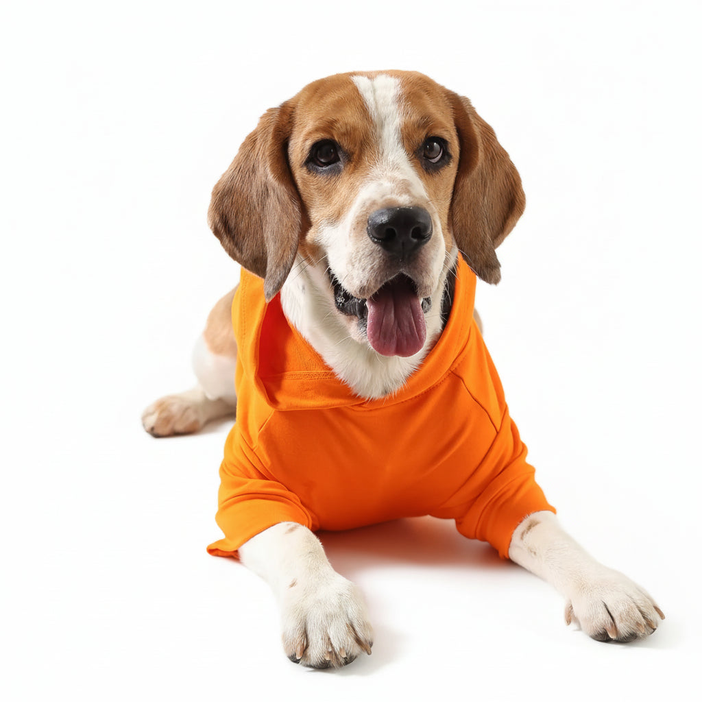 Lemon Tails Style All Weather Solid Dog Hoodies