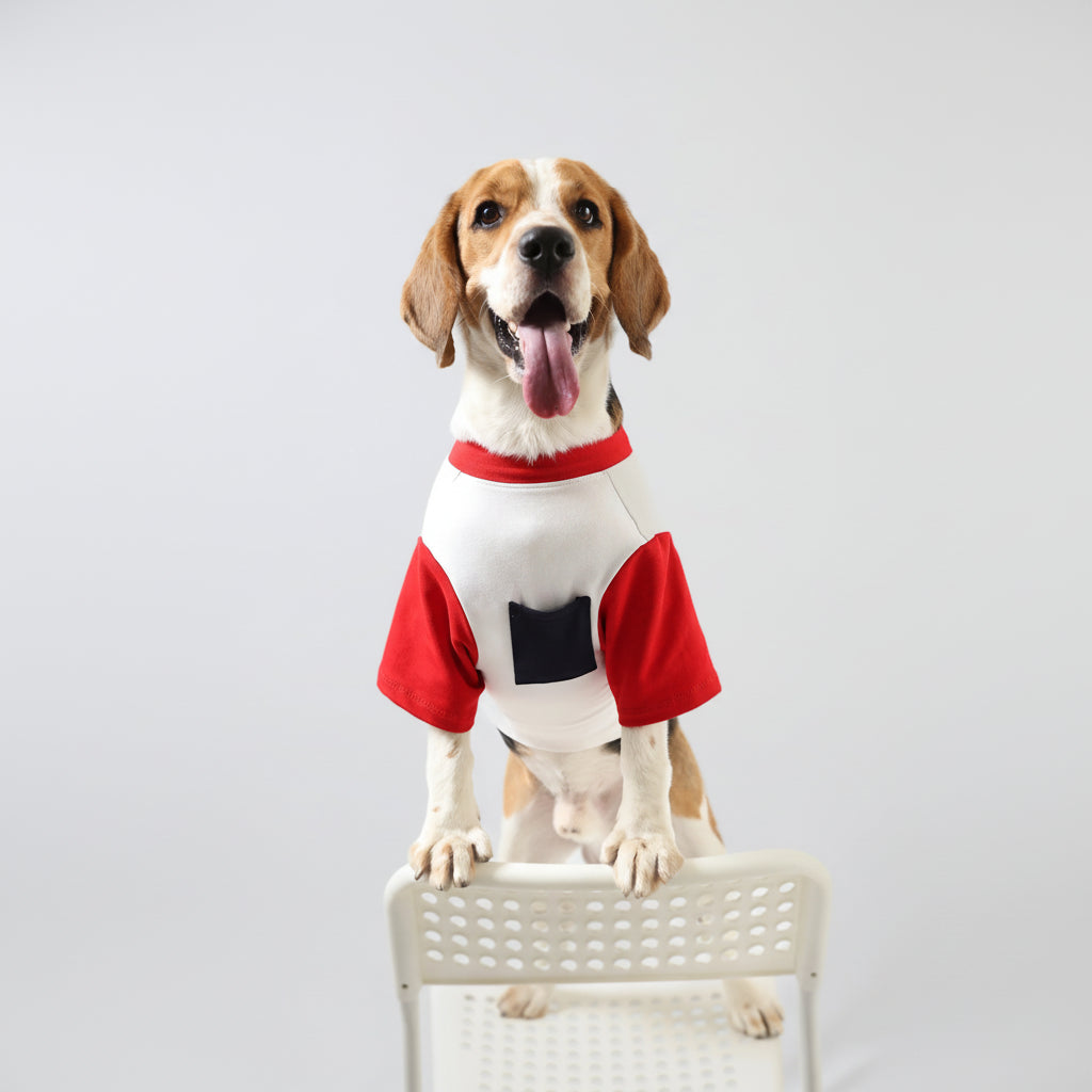 Lemon Tails Pocket Biscuit Dog T-shirt