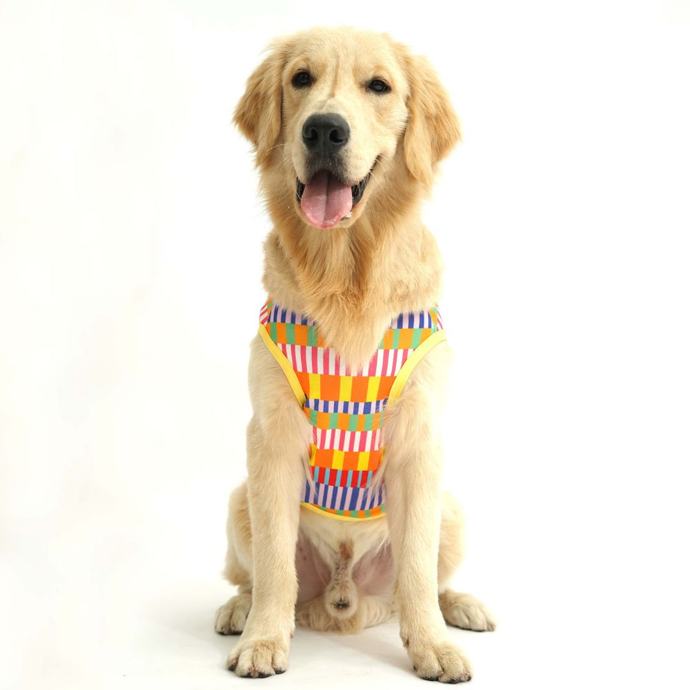 Pets Way Retro Printed Vest for Dogs