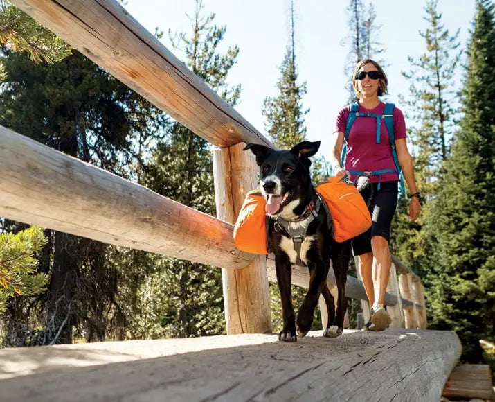 Ruffwear - Approach Pack for dogs