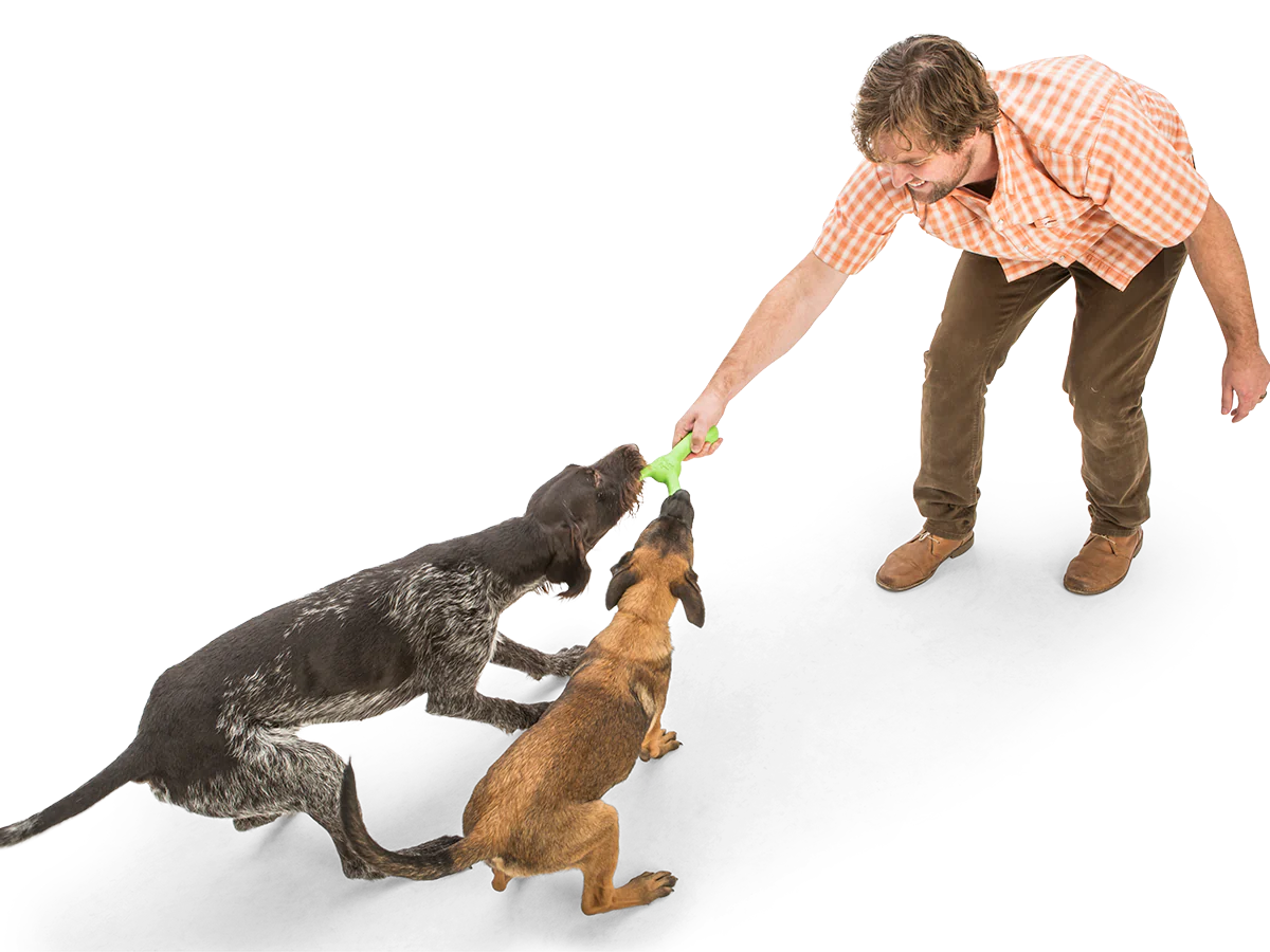 West Paw- Zogoflex Echo Skamp Fetch Standard Dog Toy