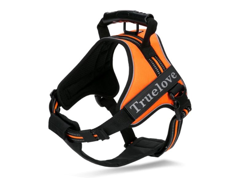 True Love - Classic Strap Harness for Dogs