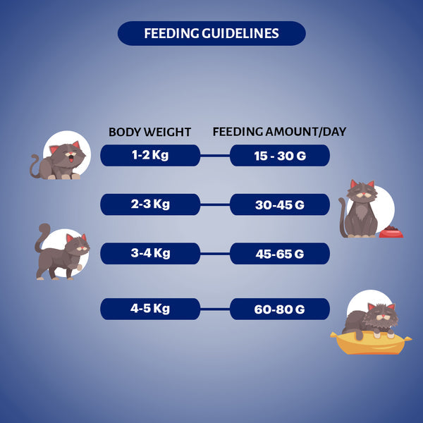 Grain Zero Seafood Adult Cat Dry Food