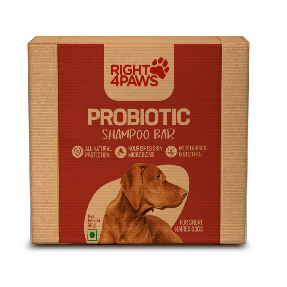 Right4Paws Probiotic Shampoo Bar for Short Haired Dogs