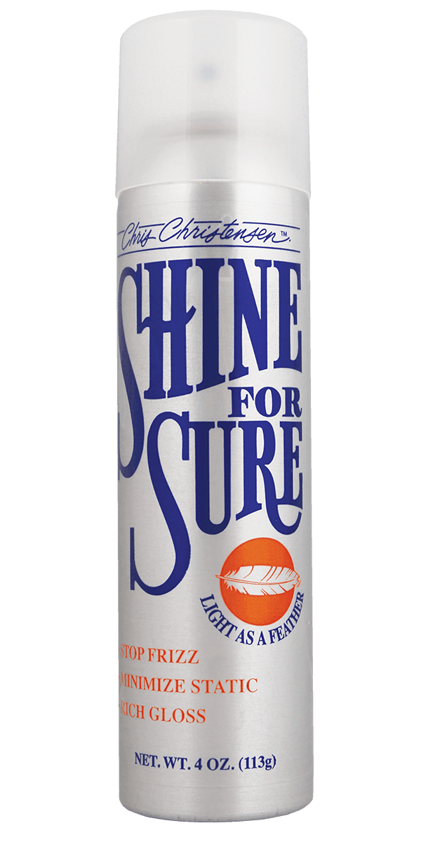 Chris Christensen- Cc Shine For Sure Aerosol -4 Oz