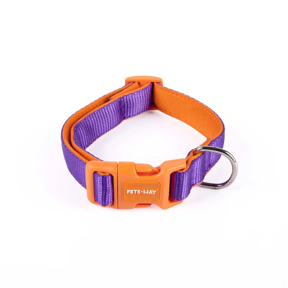 Pets Way Classic Padded Collars For Dogs