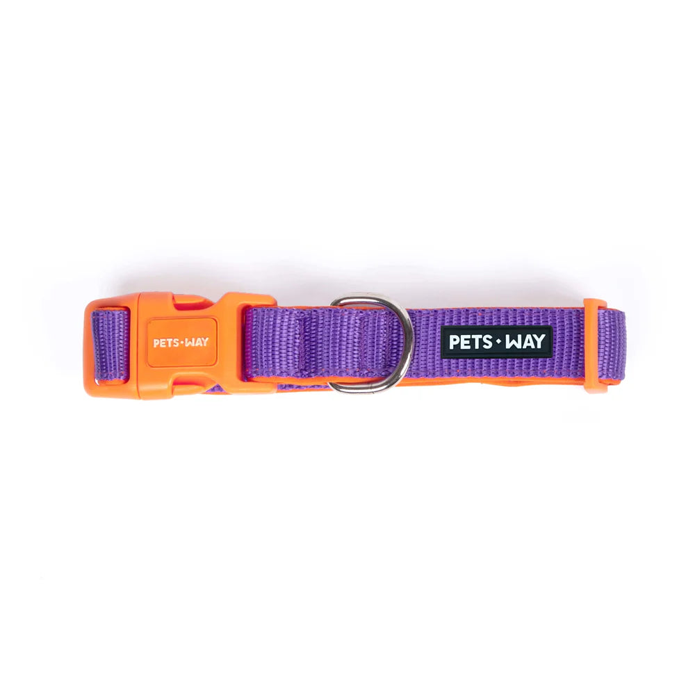 Pets Way Classic Padded Collars For Dogs