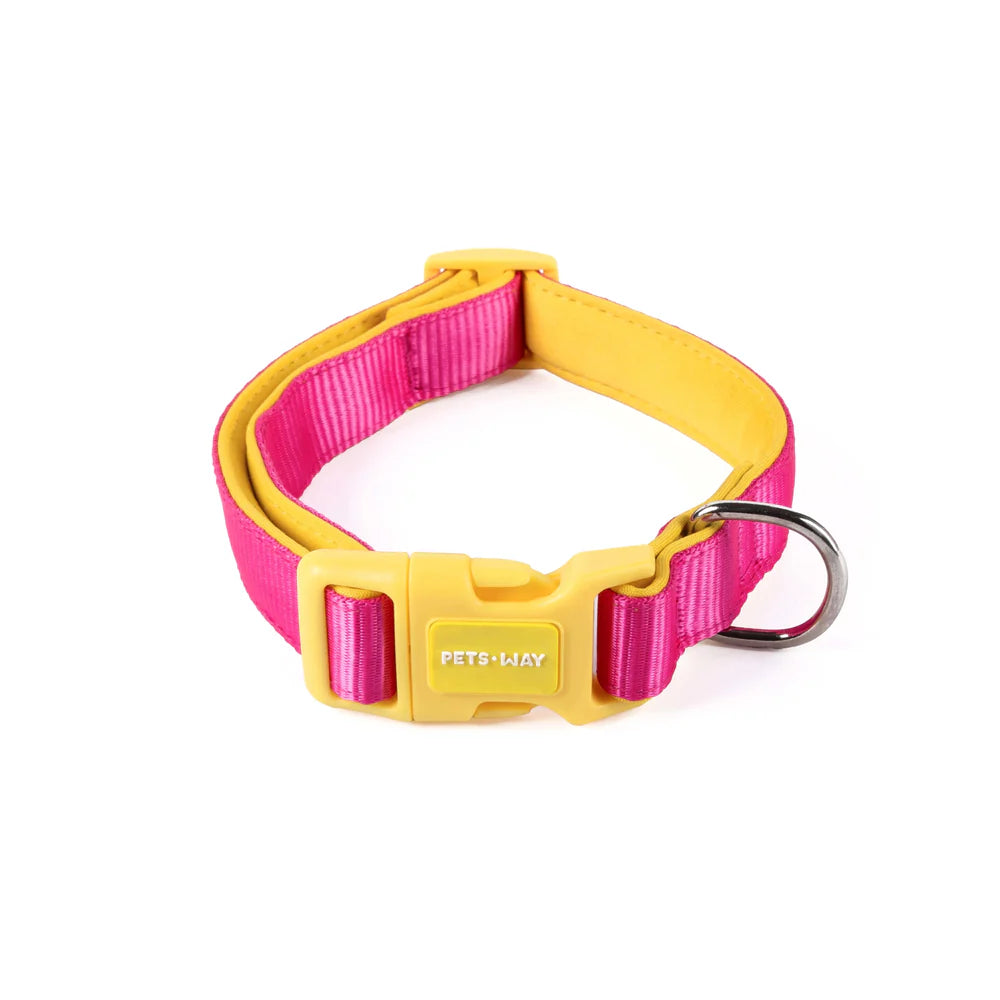 Pets Way Classic Padded Collars For Dogs
