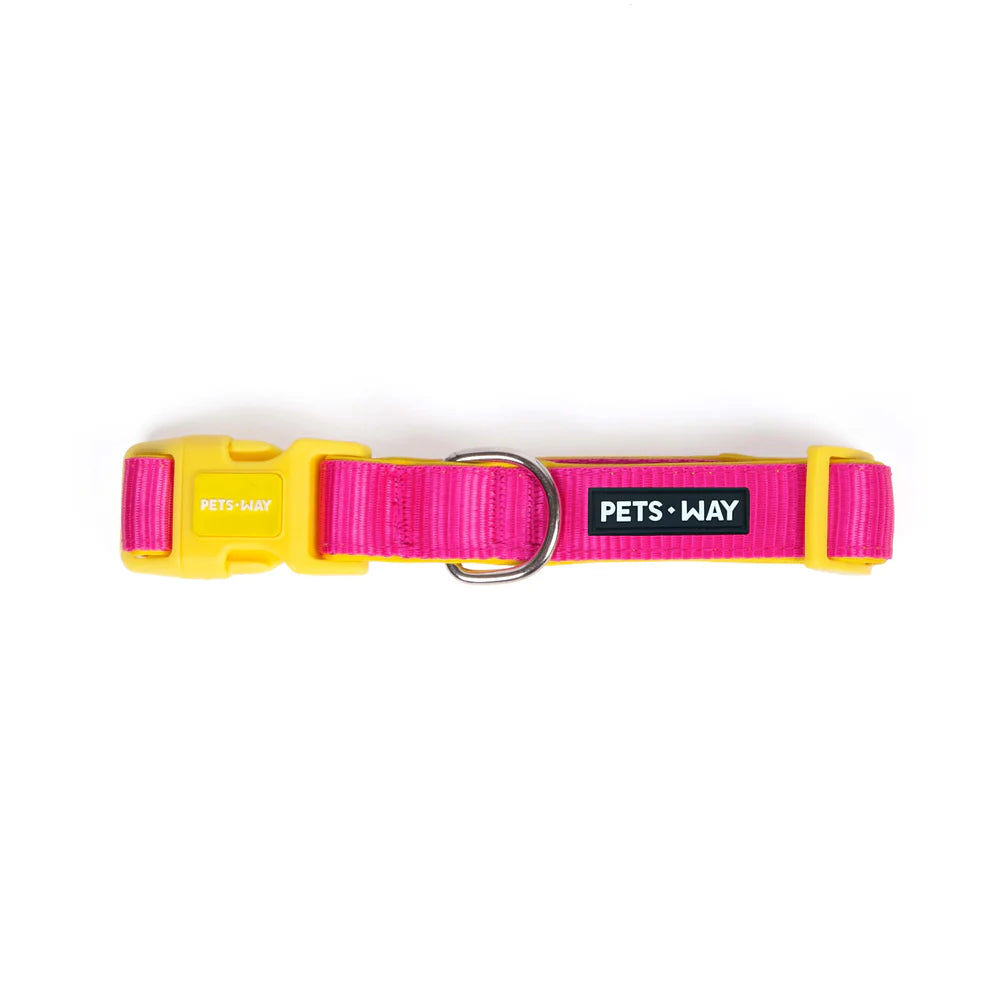 Pets Way Classic Padded Collars For Dogs